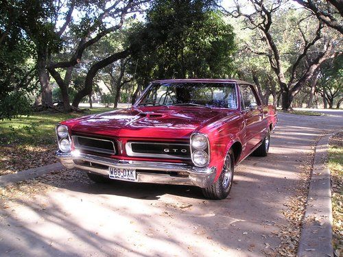 1965 pontiac gto, front view in a setting of trees
